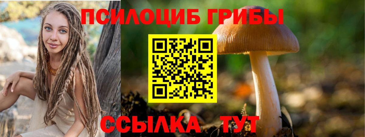 Когалым  Псилоцибиновые грибы GOLDEN TEACHER  Вход с VPN 