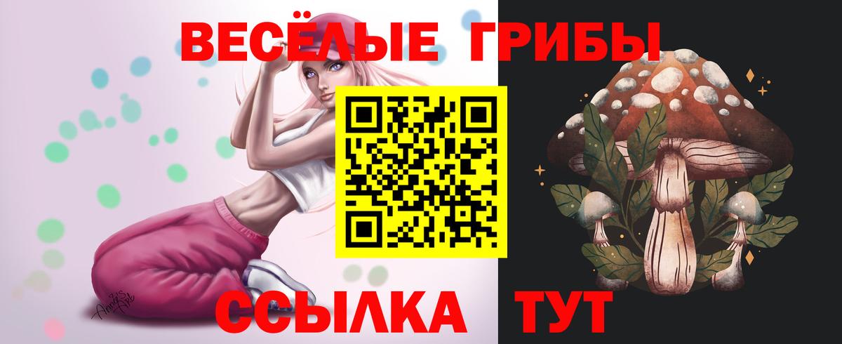 Галлюциногенные грибы мицелий Когалым
